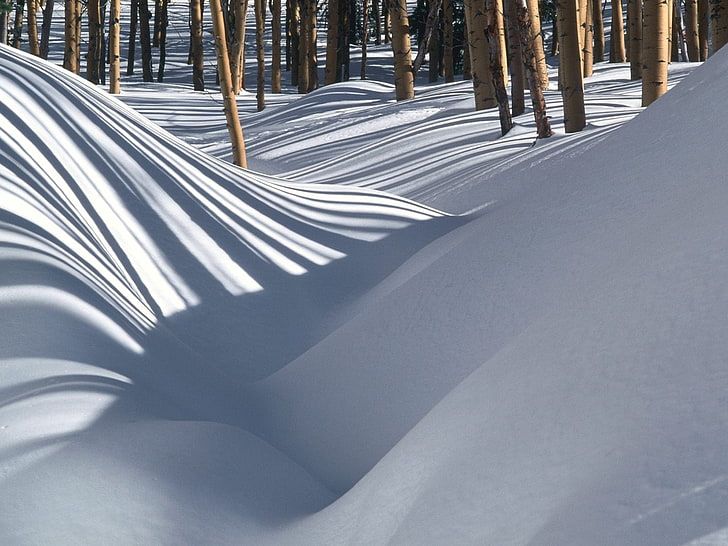 white snow, snowdrifts, wood, shades, HD wallpaper