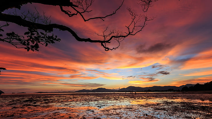 branch, afterglow, sunset, horizon, red sky, cloudy, 5k, 5k uhd, dusk, reflection, evening, HD wallpaper