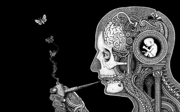 human skeletal system smoking illustration, artwork, skull, monochrome, HD wallpaper