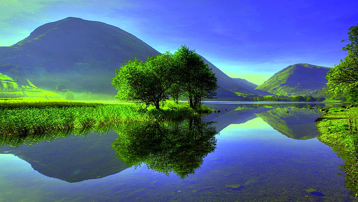 albero verde, paesaggio, montagne, lago, cielo sereno, azzurro, Sfondo HD