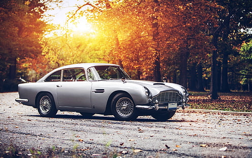 Old Aston Martin DB5, old cars, vintage cars, classic cars, coupe cars, muscle cars, HD wallpaper HD wallpaper
