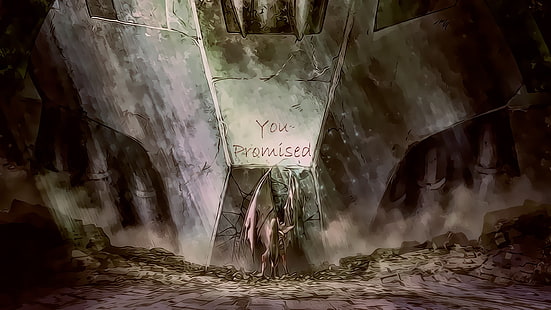 Akame ga Kill!, HD-Hintergrundbild HD wallpaper