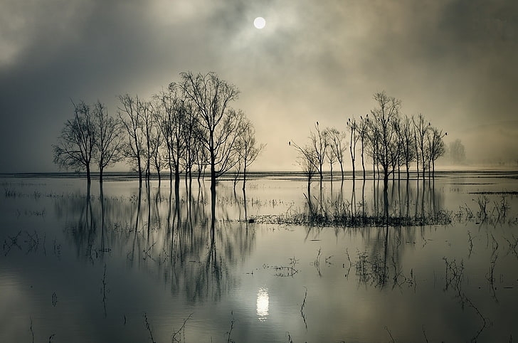 ธรรมชาติภูมิทัศน์ทะเลสาบเมฆต้นไม้สะท้อนน้ำจีนสงบ, วอลล์เปเปอร์ HD