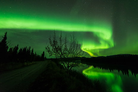 yeşil auroa borealis, yeşil, auroa, Aurora Borealis, Kuzey Işıkları, Burma Yolu, Whitehorse, Sonbahar, Yansımalar, Yukon Nehri, Kuzey Kanada, gece, yıldız - Boşluk, doğa, aurora Polaris, astronomi, manzara, galaksi, gökyüzü, orman,karanlık, Samanyolu, HD masaüstü duvar kağıdı HD wallpaper