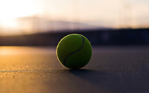 Тенис топка, тенис топка, спорт, 2560x1600, топка, тенис, HD тапет HD wallpaper