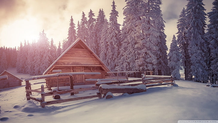 braunes Holzhaus, Bäume, HD-Hintergrundbild