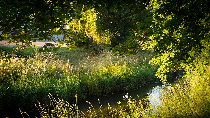 Natur, Fluss, Goldene Stunde, HD-Hintergrundbild