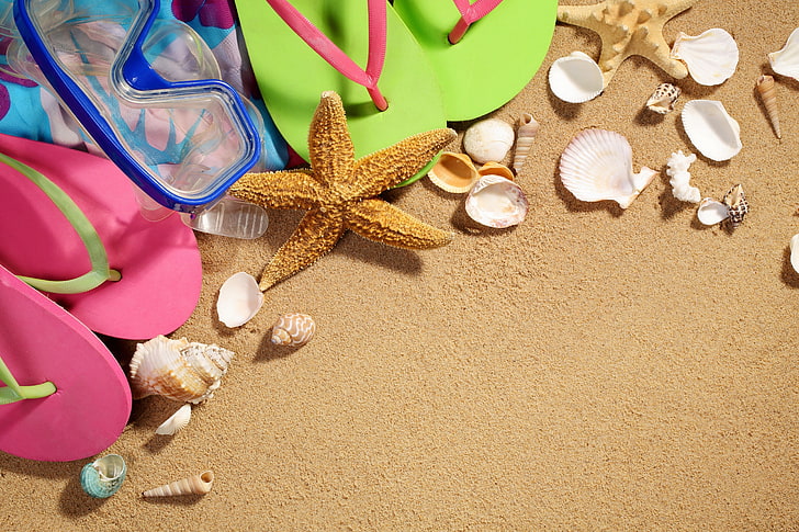 sand, sea, mask, shell, slates, starfish, HD wallpaper