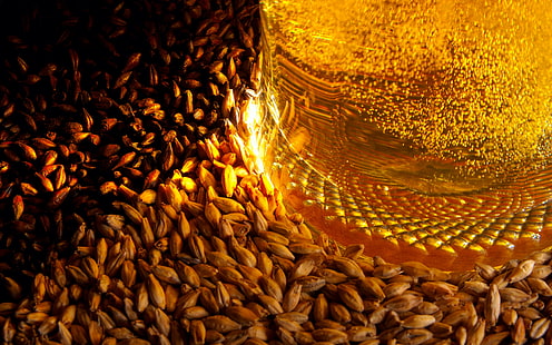 beer, barley, bubbles, drink, HD wallpaper HD wallpaper