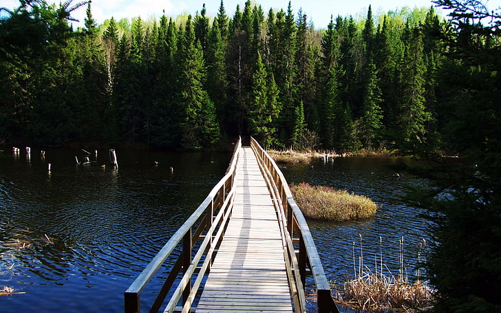 Armstrong Köprüsü Armstrong Köprüsü Doğa Ormanları HD Sanatı, göl, köprü, Armstrong, Chapleau, Kuzey Ontario, Ontario, HD masaüstü duvar kağıdı