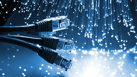 cavi ethernet neri, tecnologia, internet, hardware, luci, fibra ottica, cavo, Sfondo HD HD wallpaper