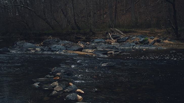 rocks in river, water, river, rocks, stream, dark, HD wallpaper
