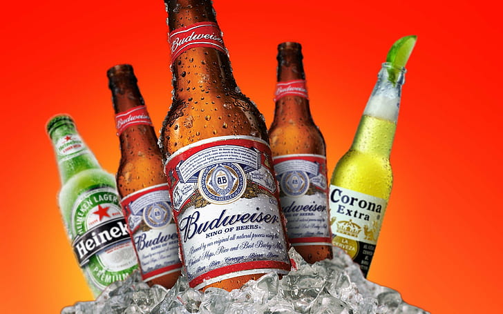 birra, Budweiser, Corona, Heineken, Sfondo HD