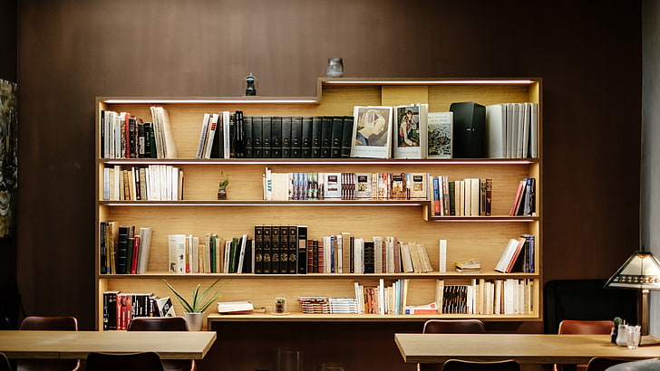 book, shelving, furniture, bookcase, shelf, interior design, bookshelf, HD wallpaper