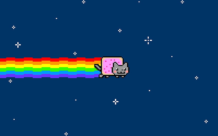 gato, gatos, Nyan, exterior, arcoiris, espacio, Fondo de pantalla HD