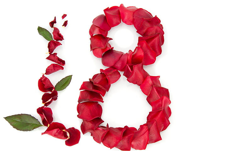 Rose petals, 4K, March 8, Womens Day, HD wallpaper
