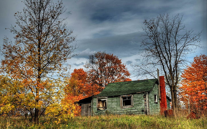 Cabine abandonada, casa verde, mundo, 2560x1600, árvore, cabine, HD papel de parede