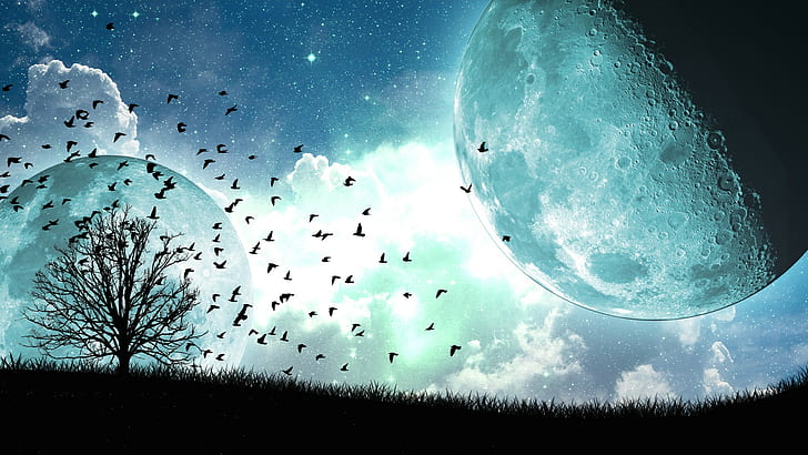 облака, луна, ночь, звёзды, деревья, птицы, произведения искусства, HD обои