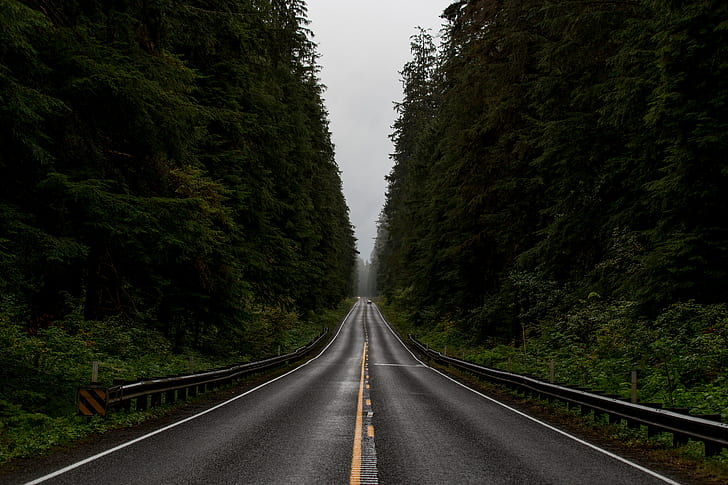 лес, муссон, дорога, HD обои