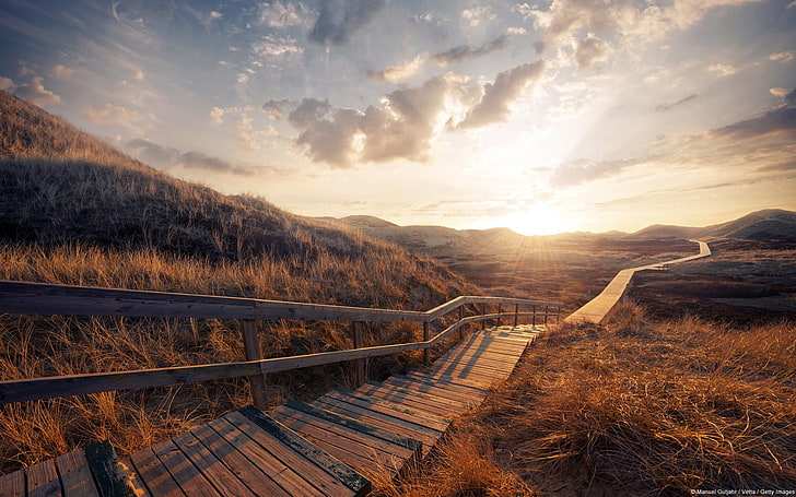 nature, path, wood, stairs, sky, HD wallpaper