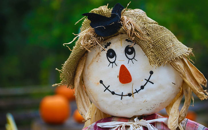 Smiling Scarecrow, funny, smiling, scarecrow, HD wallpaper