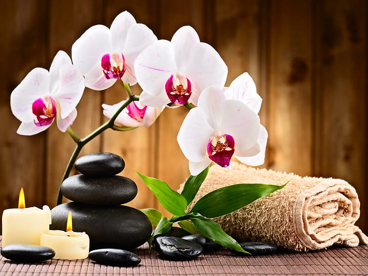 Spa Relax, vit och rosa orkidé, handduk, härlig, stenar, exotisk, orkidéer, koppla av, trevlig, löv, vacker, blommor, söt, ljus, HD tapet