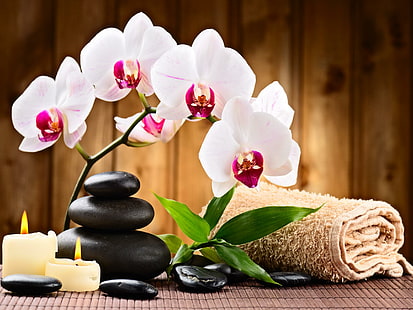 Spa Relax, orquídea blanca y rosa, toalla, encantadora, piedras, exóticas, orquídeas, relax, agradable, hojas, hermosa, flores, bonita, vela, Fondo de pantalla HD HD wallpaper