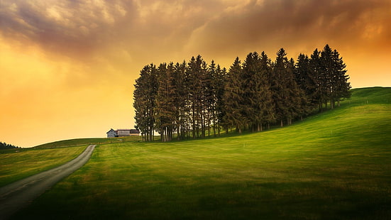 grass lawn, nature, landscape, trees, hills, clouds, grass, field, house, road, sunlight, HDR, HD wallpaper HD wallpaper