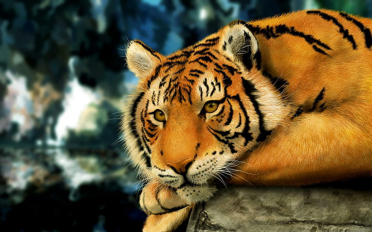 Golden Tiger HD wallpapers free download | Wallpaperbetter