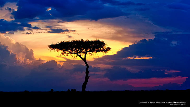 Savannah at Sunset, Maasai Mara National Reserve, Kenya, Sunrises/Sunsets, HD wallpaper