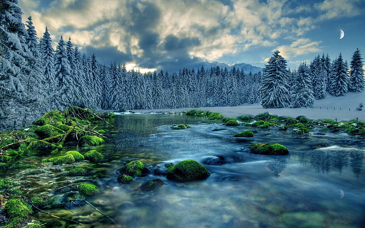 วอลล์เปเปอร์ทะเลสาบป่า, ทะเลสาบ, แม่น้ำ, ธรรมชาติ, ภูมิทัศน์, หิมะ, ต้นไม้, ฤดูหนาว, วอลล์เปเปอร์ HD