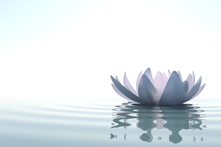 Wasser, See, Kunst, Lotus, HD-Hintergrundbild