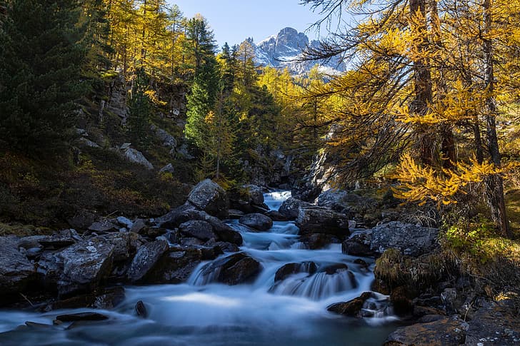 sonbahar, orman, ağaçlar, dağlar, nehir, taşlar, Fransa, Hautes-Alpes, Clarée Nehri, Река Кларе, HD masaüstü duvar kağıdı