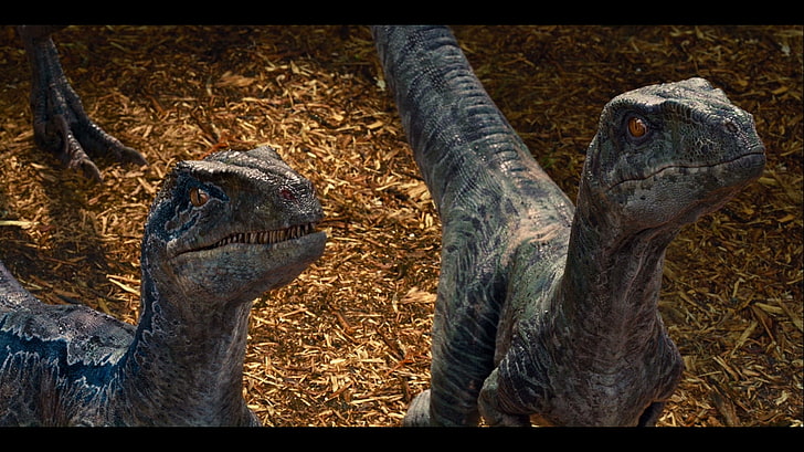 Jurassic World, dinosaurios, Fondo de pantalla HD