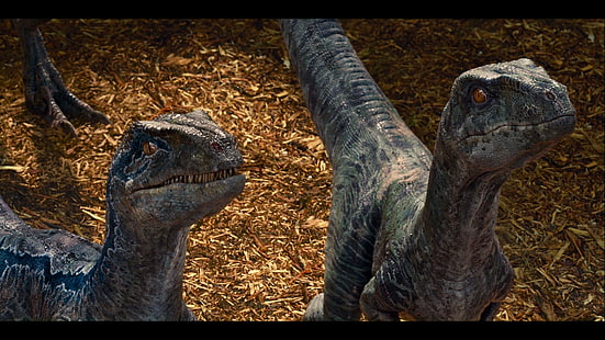 Jurassic World, dinosaures, Fond d'écran HD HD wallpaper