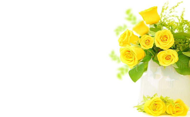 yellow roses, roses, flowers, flower, yellow, bright, HD wallpaper