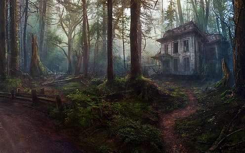 Фантазия, къща, изоставена, гора, стара, HD тапет HD wallpaper
