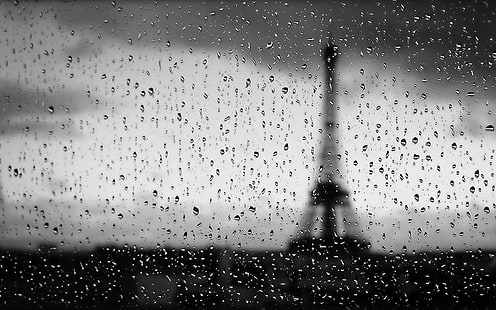 Rainy Paris, architecture, view, paris, black and white, rain, animals, HD wallpaper HD wallpaper