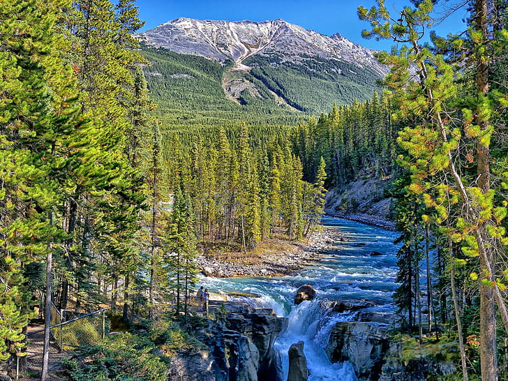 Sunwapta Falls, Jasper National Park, Alberta, Canada, alberi, Sunwapta, Falls, Jasper, nazionale, Parco, Alberta, Canada, Alberi, Sfondo HD