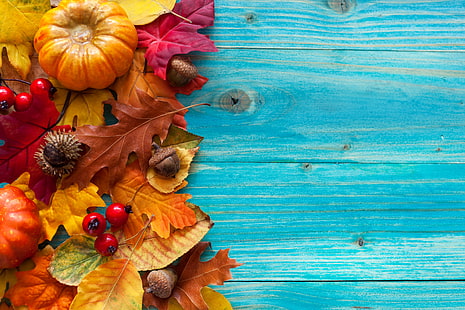 オレンジ色のカボチャ、秋、葉、果実、木、収穫、カボチャ、ドングリ、 HDデスクトップの壁紙 HD wallpaper