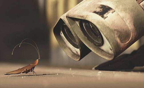 Wall E and A Cricket، Wall-E and Brown Cockroach illustration، Cartoon، WallE، Wall، cricket رسم كاريكاتير، خلفية HD HD wallpaper