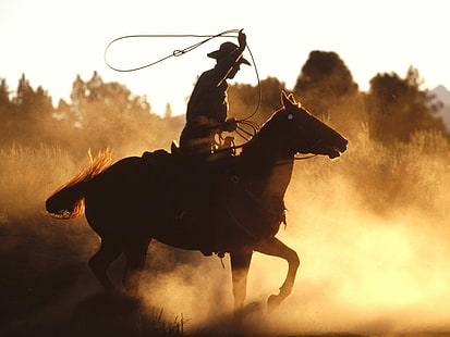 horse, cowboy, America, HD wallpaper HD wallpaper