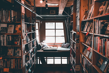 black metal bunk bed, library, books, reading, comfort, shelves, HD wallpaper HD wallpaper