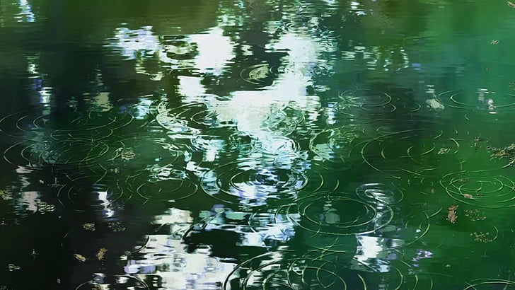 Anime, Garten, Makoto, Wellen, Shinkai, Wasser, Worte, HD-Hintergrundbild