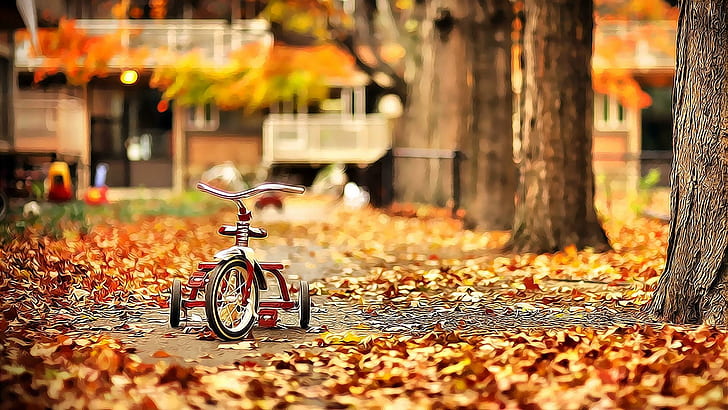 1.october, bike, october, garden, fallen leaves, autumn, 3d and abstract, HD wallpaper