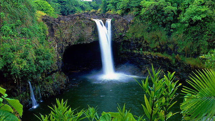 два черно-белых деревянных стула, природа, пейзаж, водопад, растения, джунгли, вода, Гавайи, государственный парк реки Вайлуку, HD обои