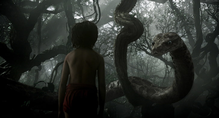 adventure, The Jungle Book, Best movie of 2016, Kaa, Mowgli, fantasy, HD wallpaper