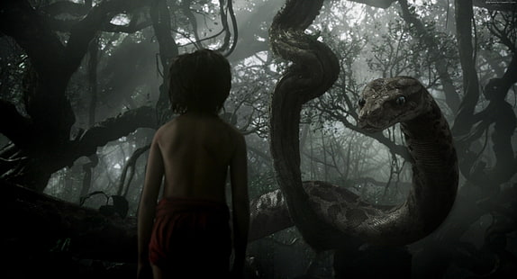 adventure, The Jungle Book, Best movie of 2016, Kaa, Mowgli, fantasy, HD wallpaper HD wallpaper