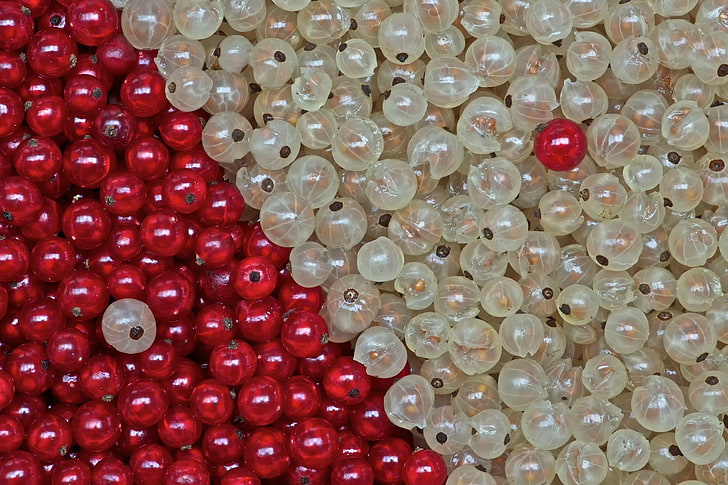 Beeren, weiß, rot, Johannisbeeren, HD-Hintergrundbild