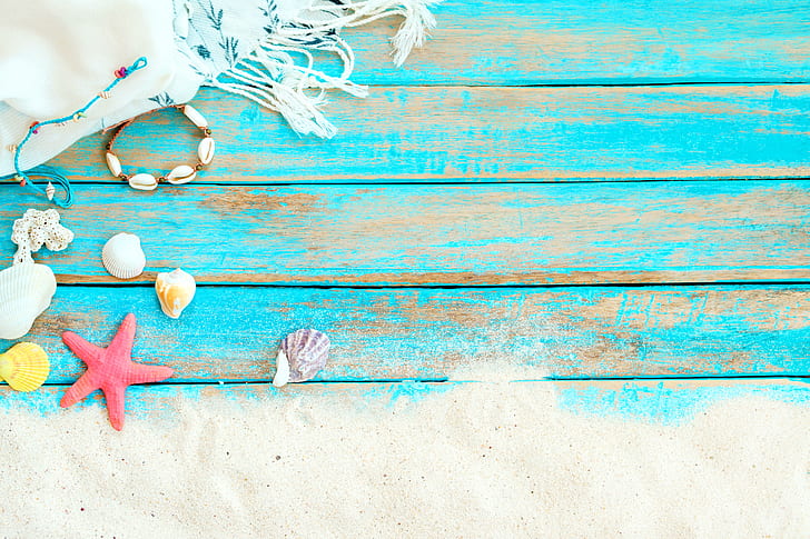 sand, beach, background, Board, star, shell, summer, wood, marine, starfish, seashells, HD wallpaper